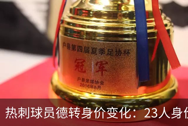 热刺球员德转身价变化：23人身价下跌，范德芬下跌1500万欧最多